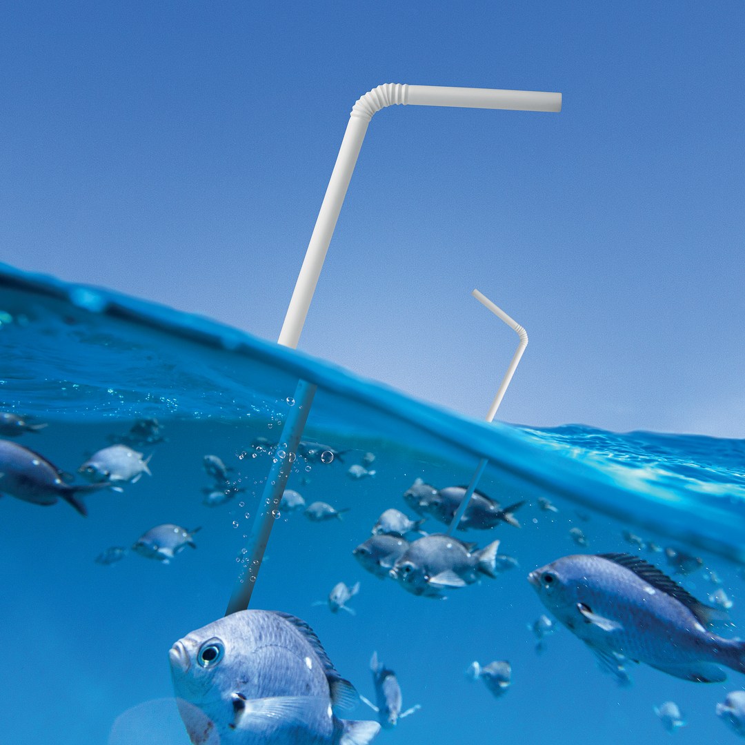 Микробы едят пластик – необходимая капля в море усилий по спасению вод мирового океана