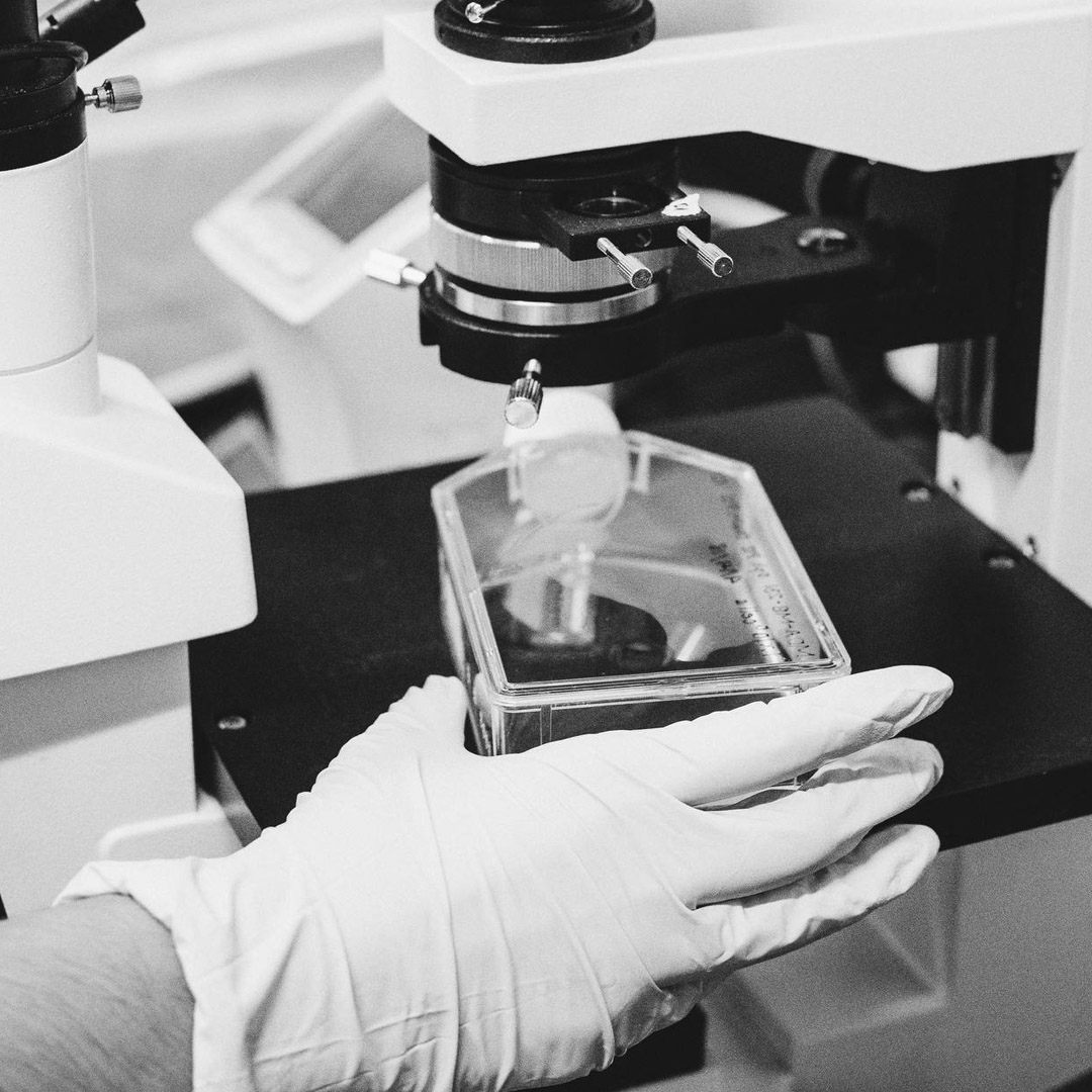 Ученые разработали биоразлагаемый полимер для регенеративной медицины