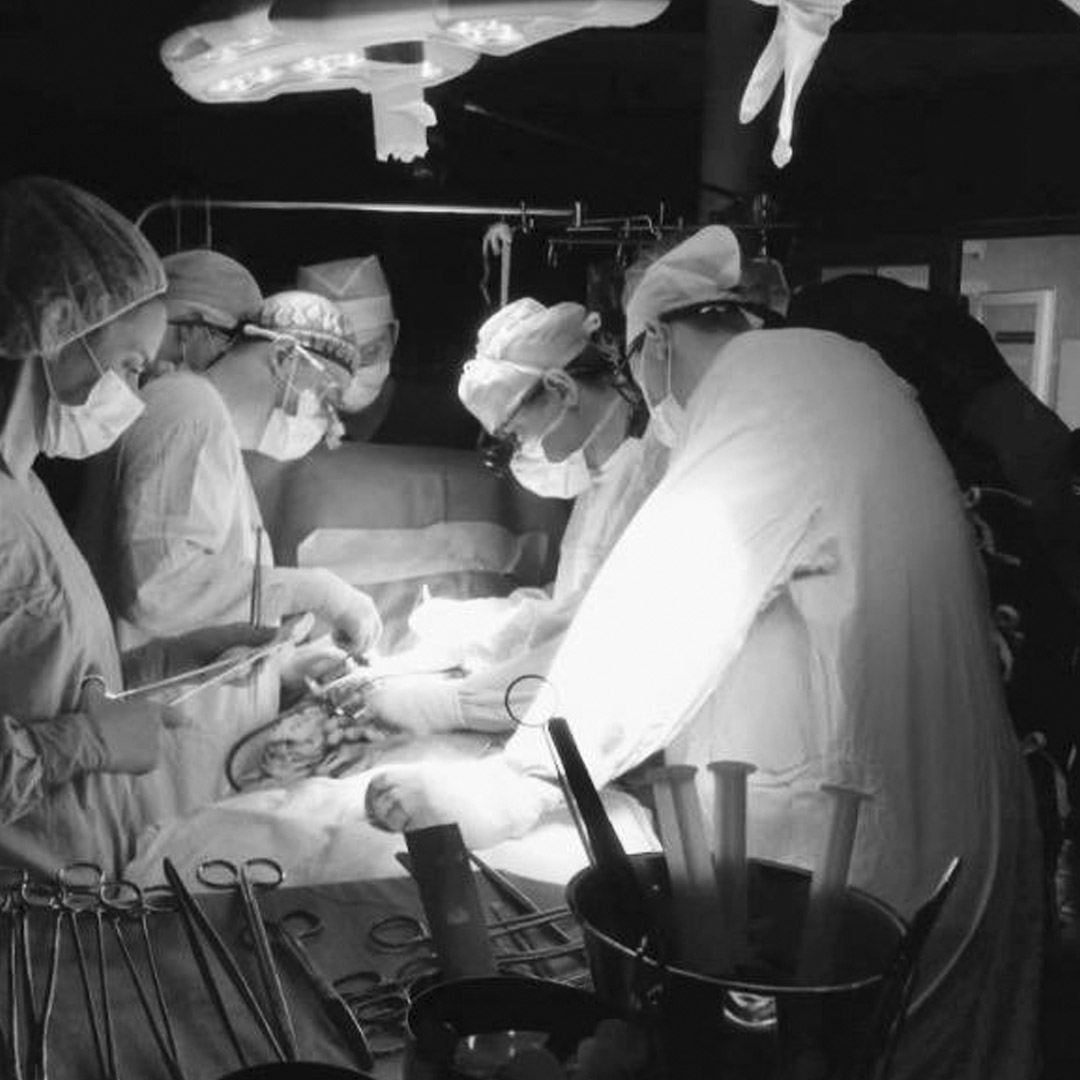 Прорыв в лечении аневризмы аорты. Ученые Сеченовского Университета первыми в мире успешно имплантировали пациенту сосудистый протез с лепестками синусов корня аорты